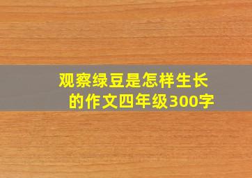 观察绿豆是怎样生长的作文四年级300字