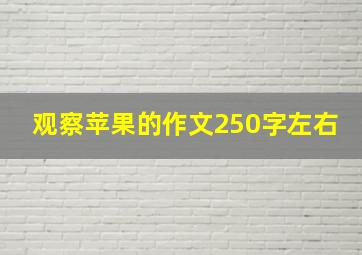 观察苹果的作文250字左右