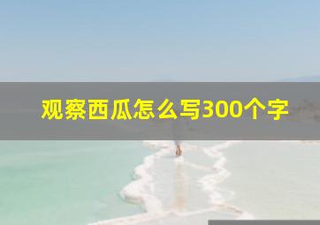 观察西瓜怎么写300个字