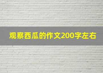 观察西瓜的作文200字左右