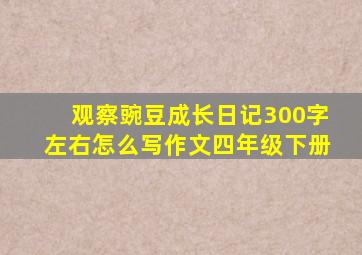 观察豌豆成长日记300字左右怎么写作文四年级下册