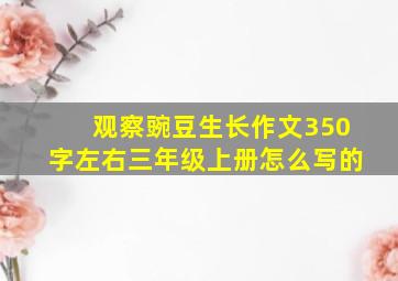 观察豌豆生长作文350字左右三年级上册怎么写的