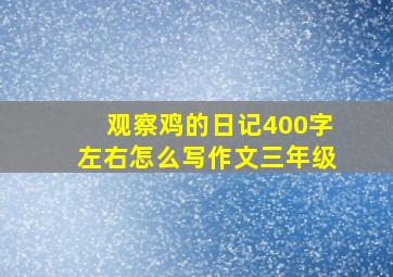 观察鸡的日记400字左右怎么写作文三年级