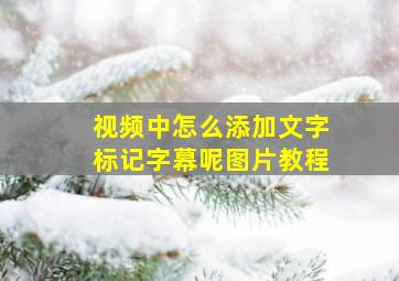 视频中怎么添加文字标记字幕呢图片教程