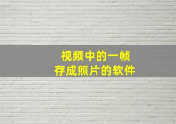 视频中的一帧存成照片的软件