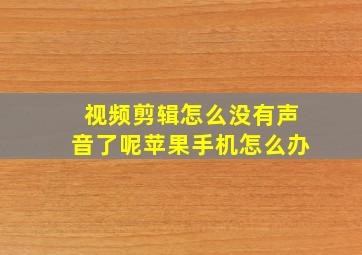 视频剪辑怎么没有声音了呢苹果手机怎么办