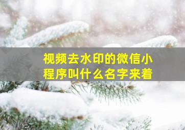 视频去水印的微信小程序叫什么名字来着