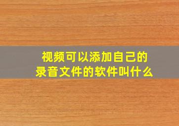 视频可以添加自己的录音文件的软件叫什么