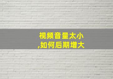 视频音量太小,如何后期增大