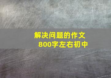 解决问题的作文800字左右初中