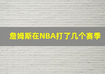 詹姆斯在NBA打了几个赛季