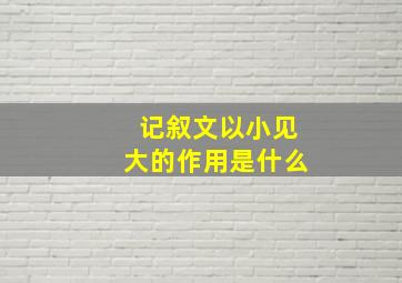 记叙文以小见大的作用是什么