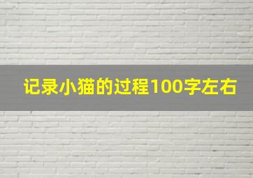 记录小猫的过程100字左右