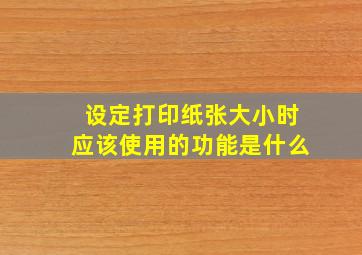 设定打印纸张大小时应该使用的功能是什么