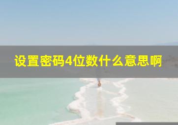 设置密码4位数什么意思啊