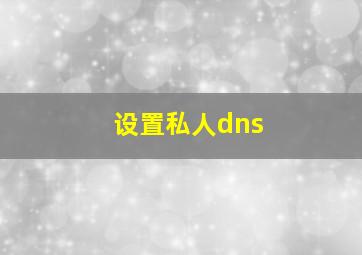 设置私人dns