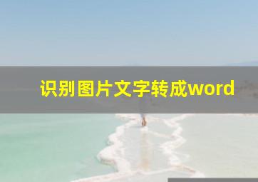 识别图片文字转成word