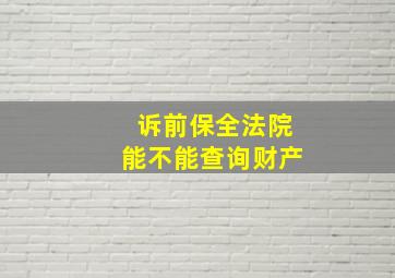 诉前保全法院能不能查询财产