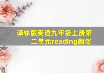 译林版英语九年级上册第二单元reading翻译