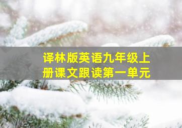 译林版英语九年级上册课文跟读第一单元