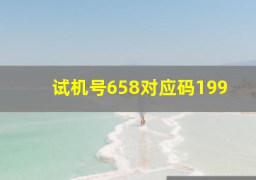 试机号658对应码199