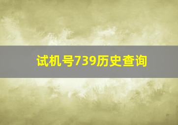 试机号739历史查询