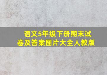 语文5年级下册期末试卷及答案图片大全人教版