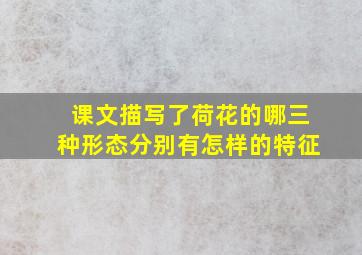 课文描写了荷花的哪三种形态分别有怎样的特征