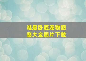 谁是卧底宠物图鉴大全图片下载