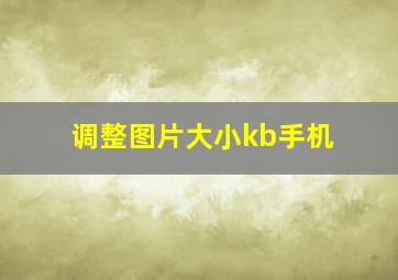 调整图片大小kb手机