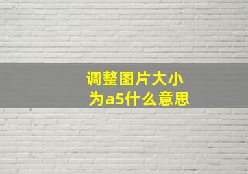 调整图片大小为a5什么意思