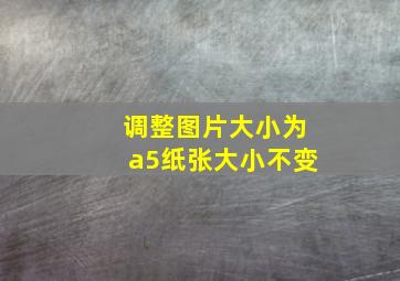 调整图片大小为a5纸张大小不变