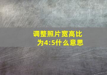 调整照片宽高比为4:5什么意思