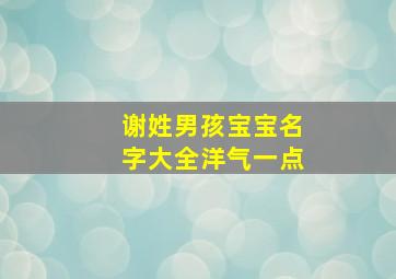 谢姓男孩宝宝名字大全洋气一点