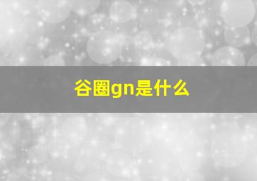 谷圈gn是什么