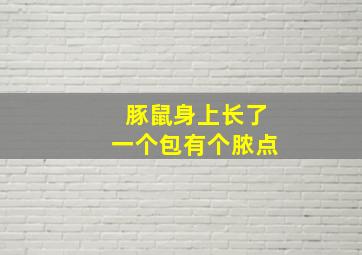 豚鼠身上长了一个包有个脓点