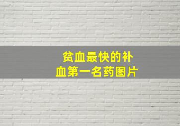 贫血最快的补血第一名药图片