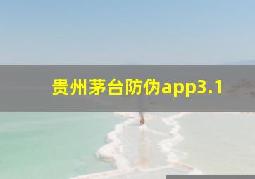 贵州茅台防伪app3.1