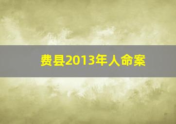 费县2013年人命案