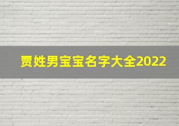 贾姓男宝宝名字大全2022