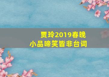 贾玲2019春晚小品啼笑皆非台词