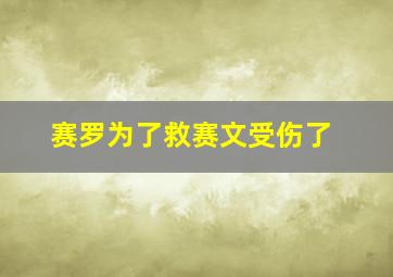 赛罗为了救赛文受伤了