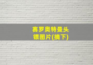 赛罗奥特曼头镖图片(摘下)