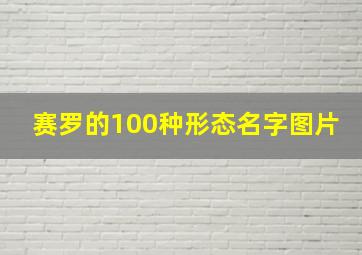 赛罗的100种形态名字图片