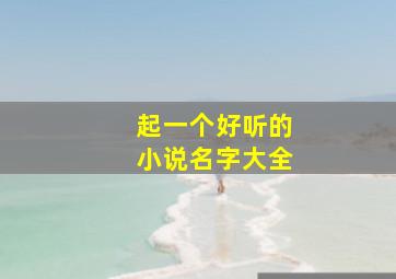 起一个好听的小说名字大全