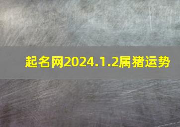 起名网2024.1.2属猪运势