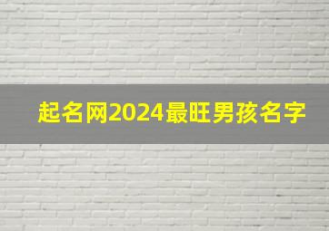 起名网2024最旺男孩名字