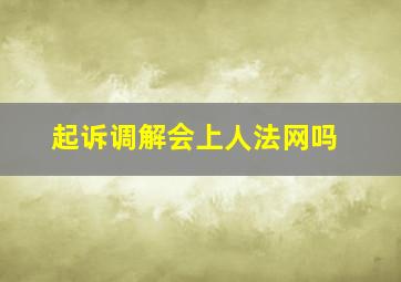 起诉调解会上人法网吗