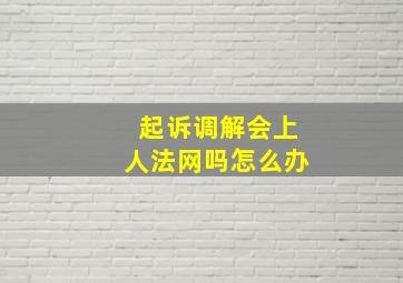 起诉调解会上人法网吗怎么办