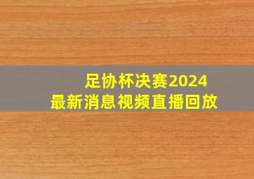 足协杯决赛2024最新消息视频直播回放